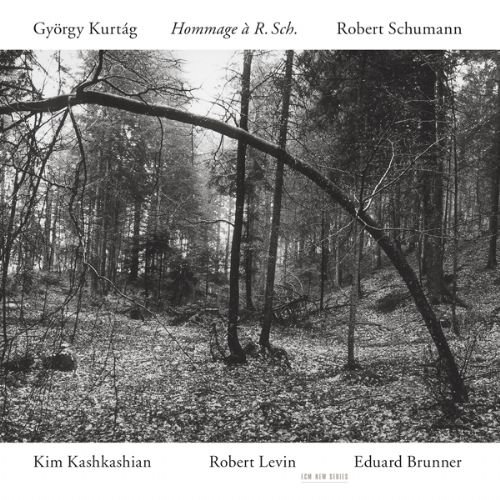 KASHKASHIAN, LEVIN, BRUNNER - KURTAG, SCHUMANN: HOMMAGE A R. SCH. 1CD