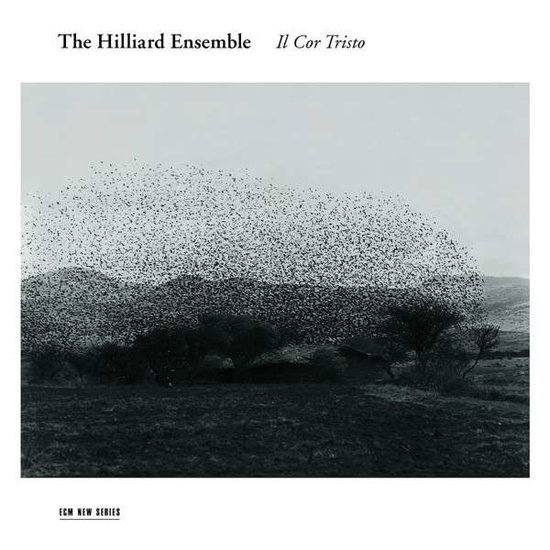THE HILLIARD ENSEMBLE - V/C: IL COR TRISTO 1CD