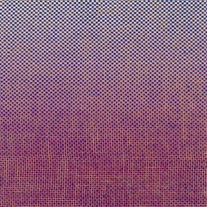 AMBROSE AKINMUSIRE & MARY HALVORSON - SLO-MO NEON LUMINATE HOVERINGS 1LP