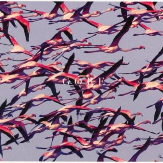 DEFTONES - GORE 1CD
