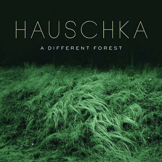 HAUSCHKA - A DIFFERENT FOREST 1CD