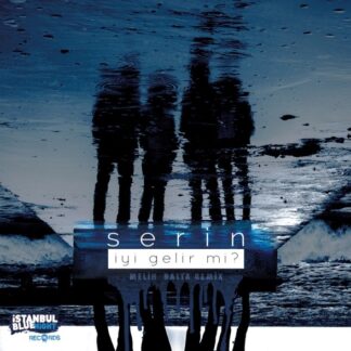 SERIN - IYI GELIR MI 1LP