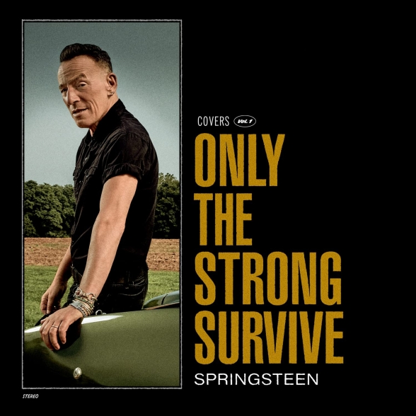 BRUCE SPRINGSTEEN - ONLY THE STRONG SURVIVE (BLACK VINYL) 2LP