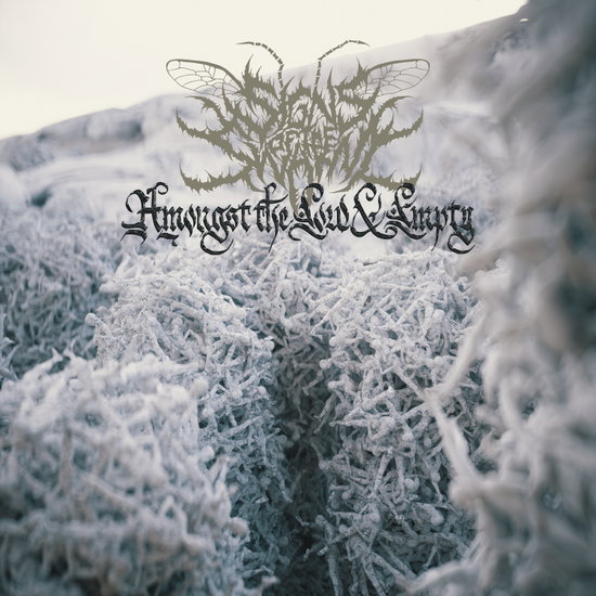 SIGNS OF THE SWARM - AMONGST THE LOW & EMPTY 1LP