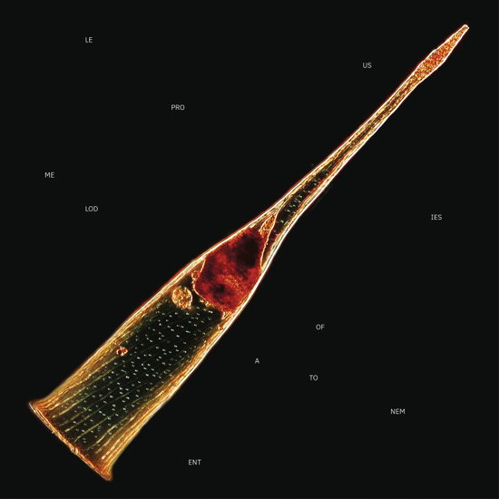 LEPROUS - MELODIES OF ATONEMENT (STANDARD CD JEWELCASE) 1CD