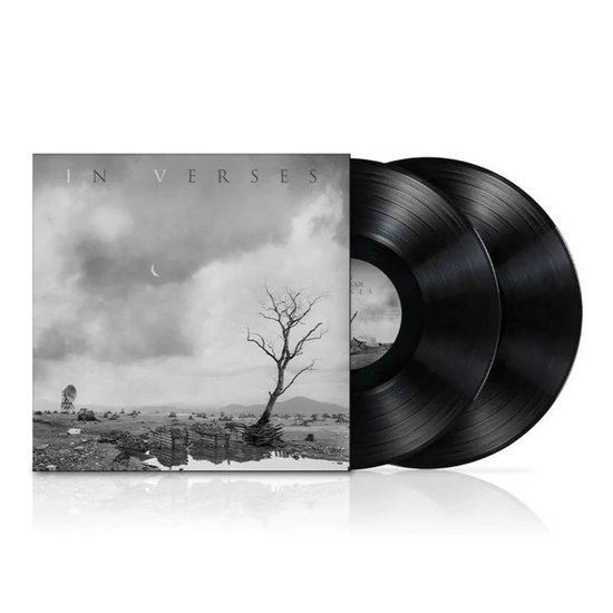 KARNIVOOL - IN VERSES 2LP