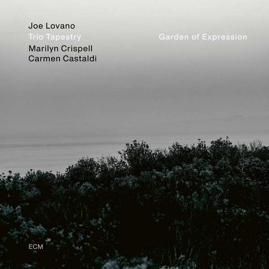 JOE LOVANO TRIO TAPESTRY - GARDEN OF EXPRESSION 1CD