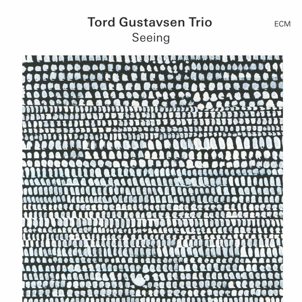 TORD GUSTAVSEN TRIO - SEEING 1LP