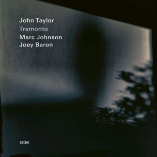 JOHN TAYLOR, MARC JOHNSON, JOEY BARON - TRAMONTO 1CD