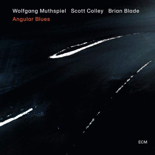 WOLFGANG MUTHSPIEL, SCOTT COLLEY, BRIAN BLADE - ANGULAR BLUES 1CD
