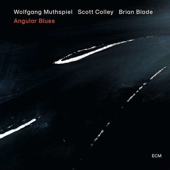 WOLFGANG MUTHSPIEL, SCOTT COLLEY, BRIAN BLADE - ANGULAR BLUES (LP) 1LP