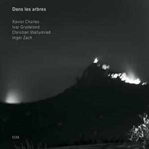 DANS LES ARBRES - DANS LES ARBRES 1CD