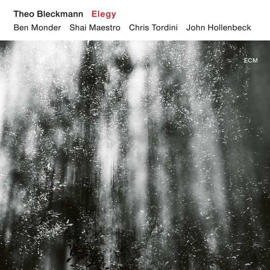 THEO BLECKMANN - ELEGY 1CD