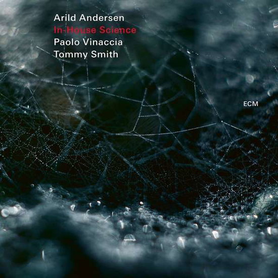 ARILD ANDERSEN TRIO - IN-HOUSE SCIENCE 1CD