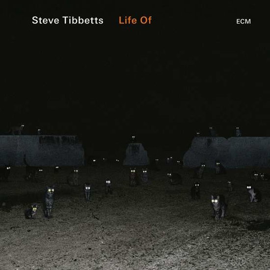 STEVE TIBBETTS - LIFE OF 1CD