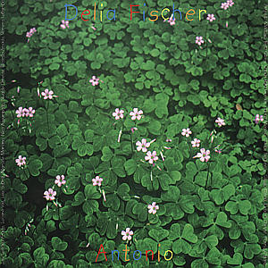 DELIA FISCHER - ANTONIO 1CD