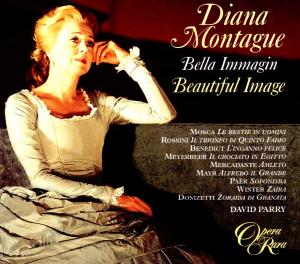 DIANA MONTAGUE - V/C: BEAUTIFUL IMAGES 1CD