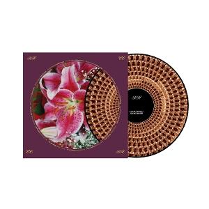 RICHARD HAWLEY - COLES CORNER (20TH ANNIVERSARY LIMITED EDITION ZOETROPE VINYL) 1LP