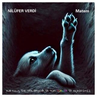 NİLÜFER VERDİ - MATEM 1LP